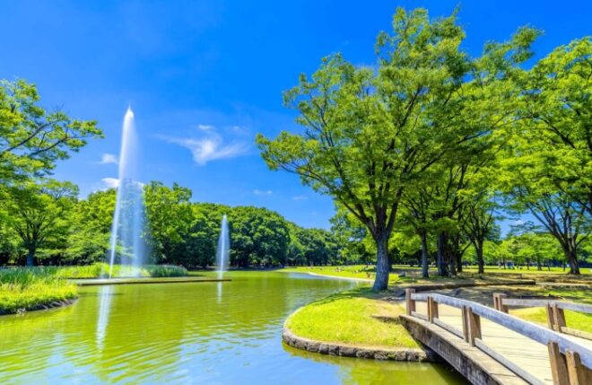 代々木公園